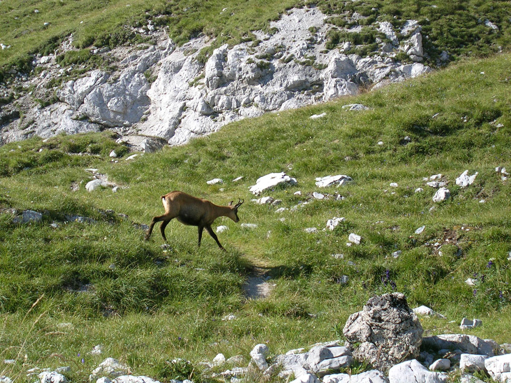 Watzmann Überschreitung