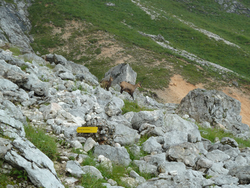 Hochthron Klettersteig – Berchtesgadener Hochthron