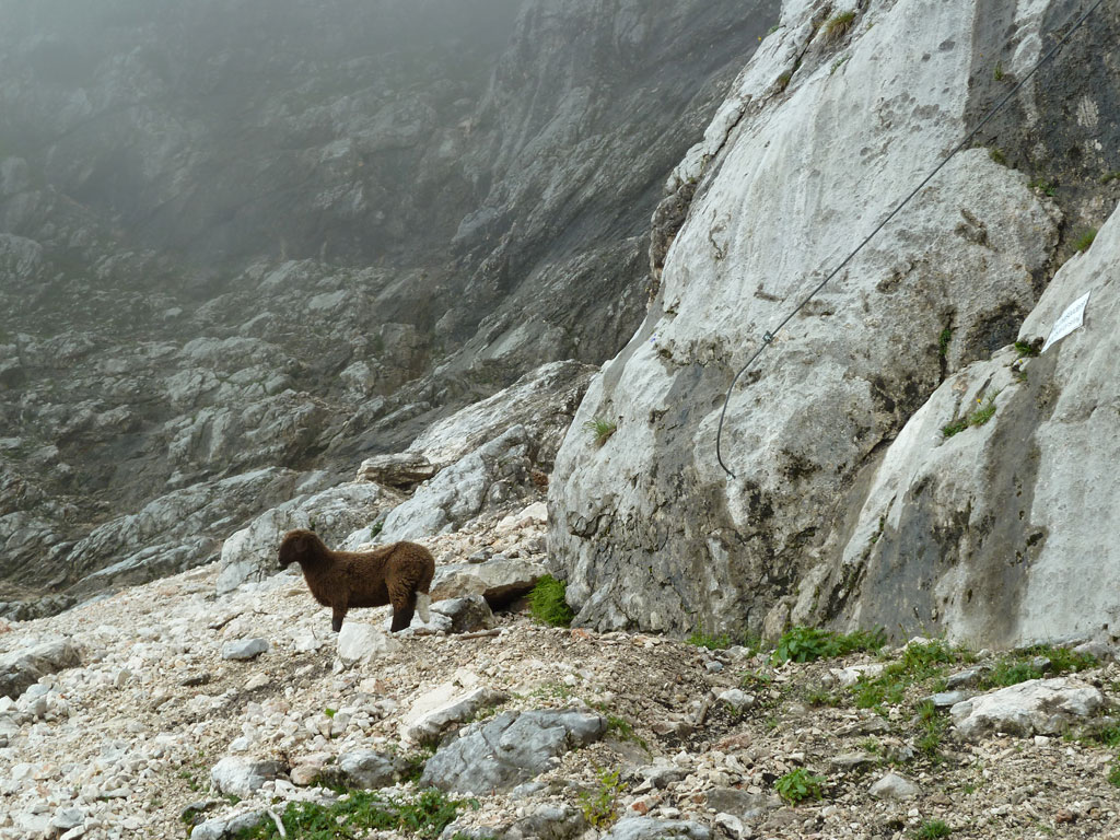 Hochthron Klettersteig – Berchtesgadener Hochthron