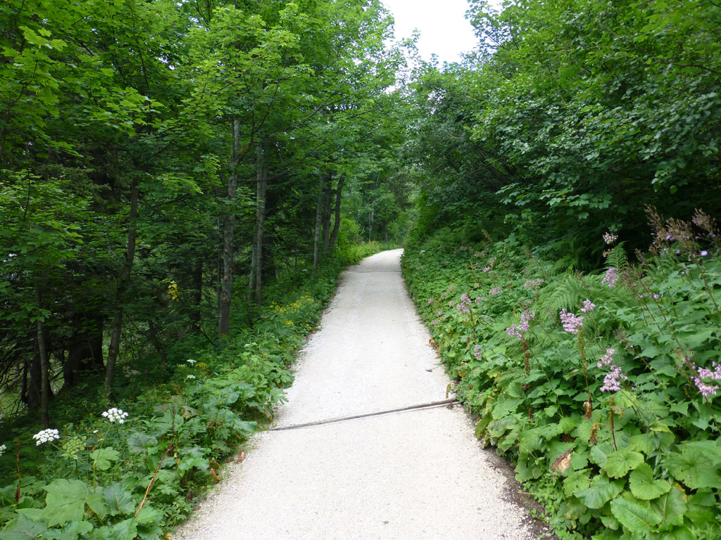 Rund um den Göll – Stahlhaus