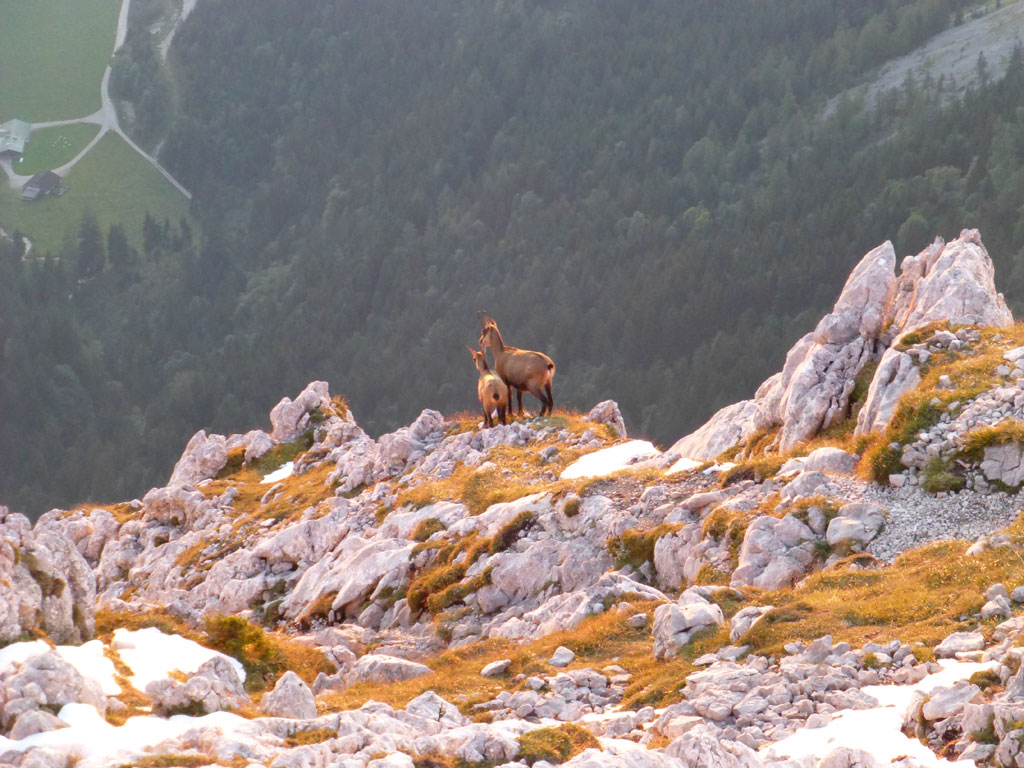 Kehlsteinhaus – Hoher Göll