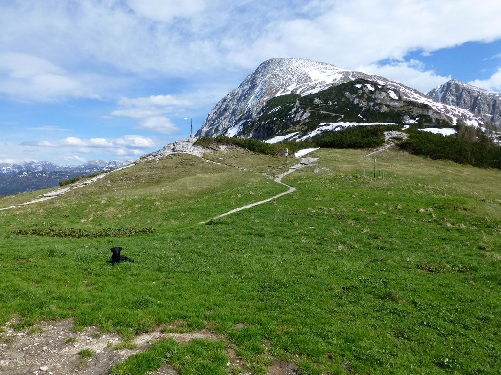 Rund um den Göll – Stahlhaus