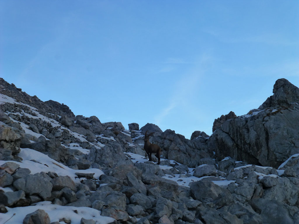 Gotzenalm – Kahlersberg