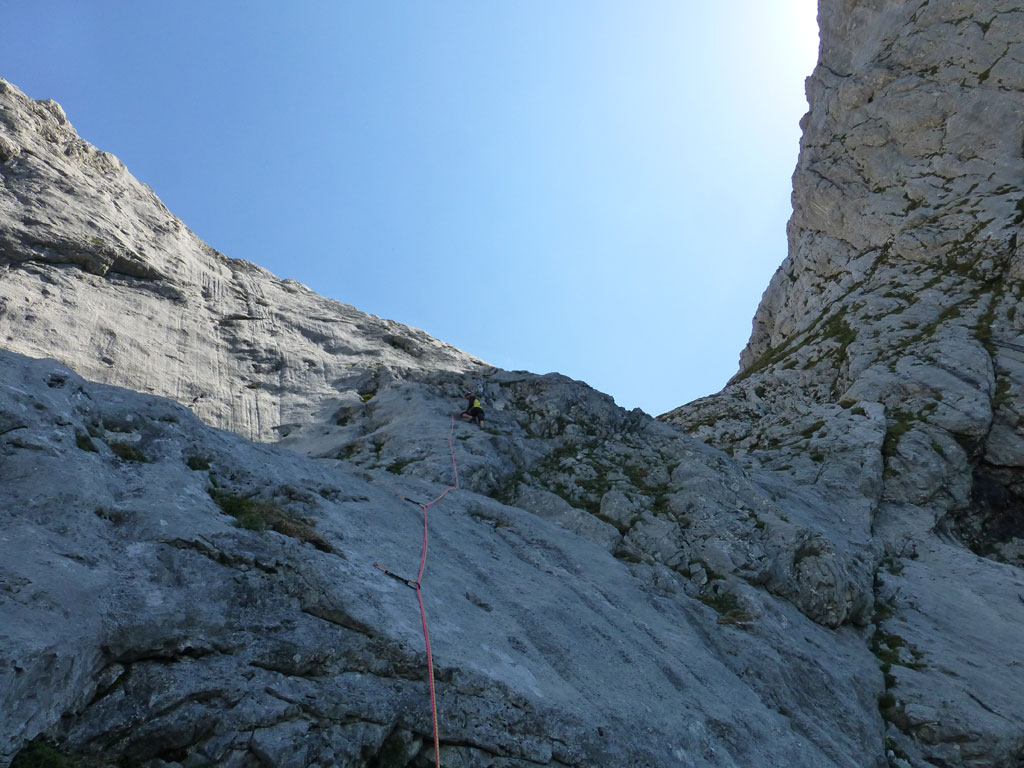 Fun in the Sun – Großes Fieberhorn