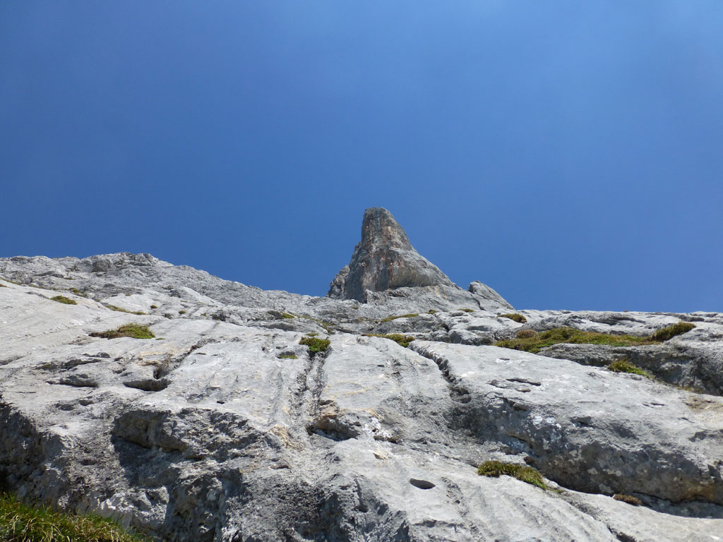 Fun in the Sun – Großes Fieberhorn