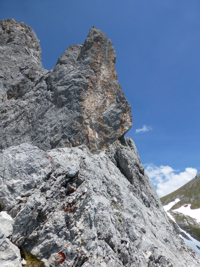 Fun in the Sun – Großes Fieberhorn