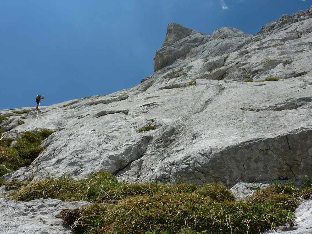 Fun in the Sun – Großes Fieberhorn