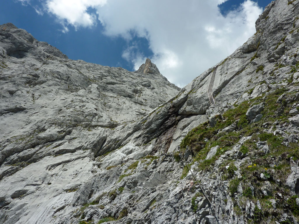 Fun in the Sun – Großes Fieberhorn