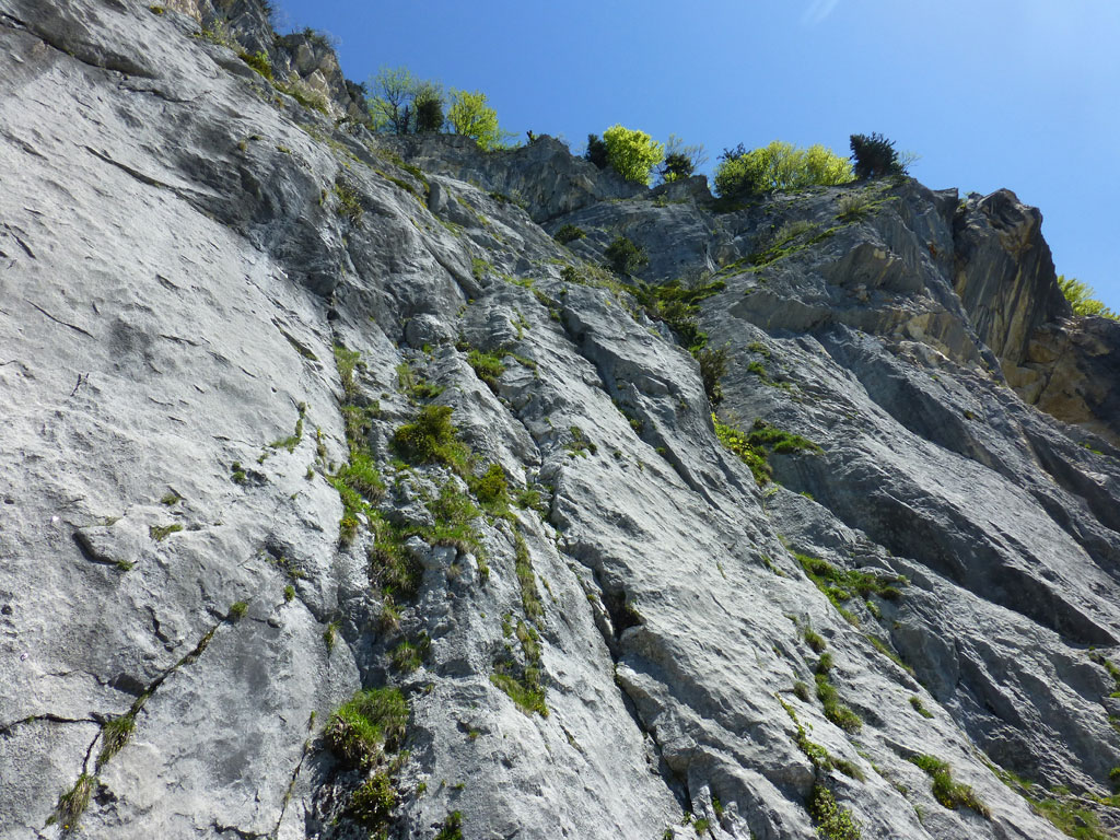 Brilli – Zwerchwand