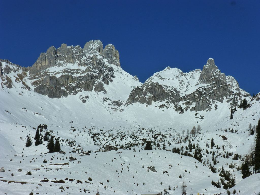 Große Bischofsmütze