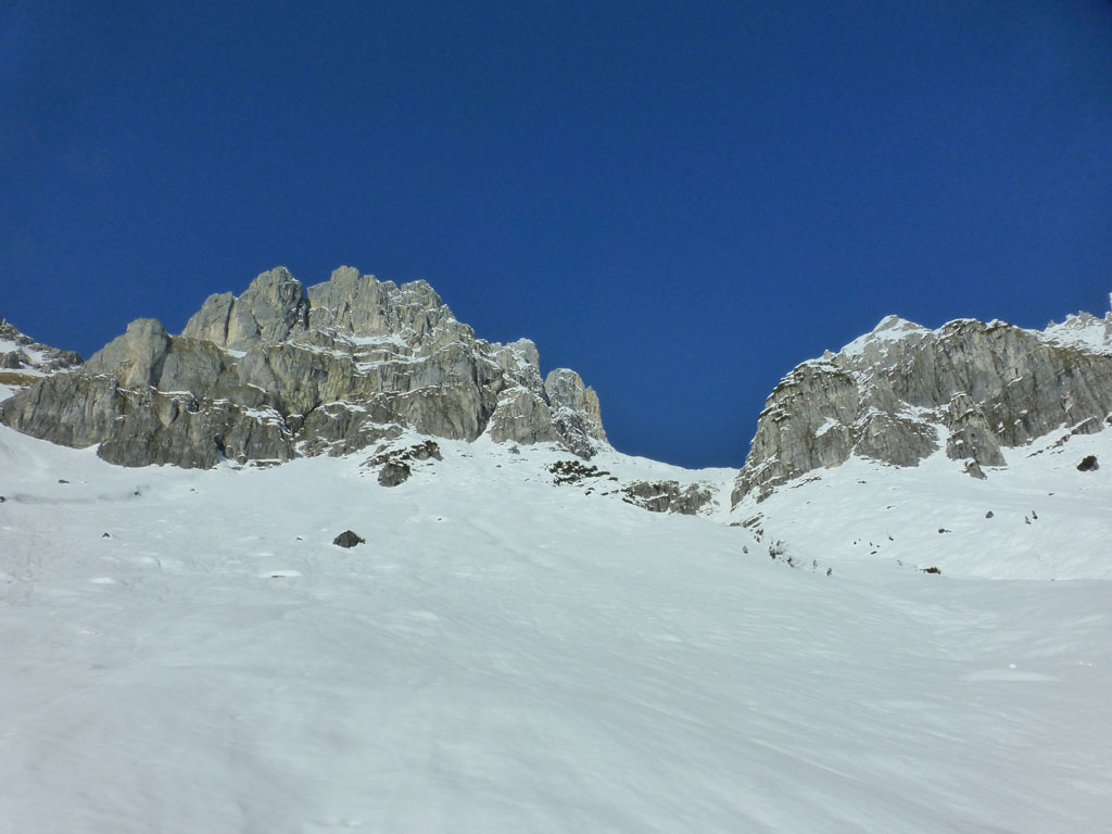 Große Bischofsmütze