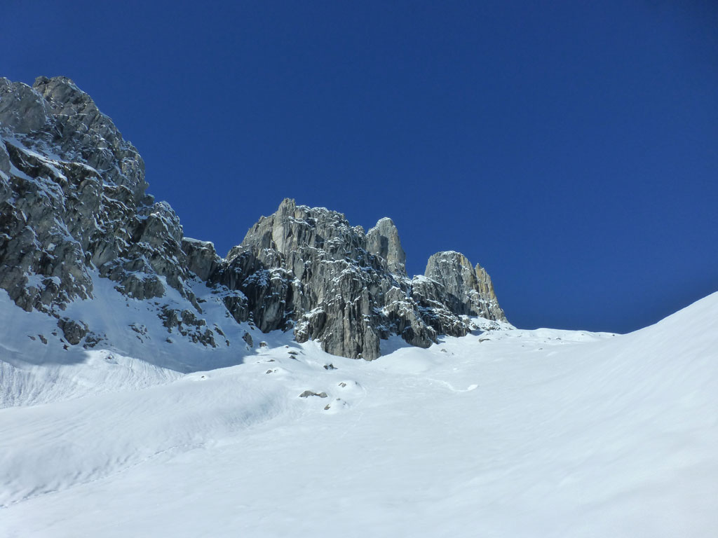 Große Bischofsmütze