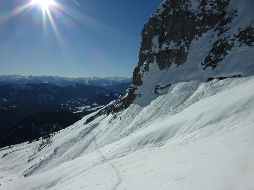 Große Bischofsmütze