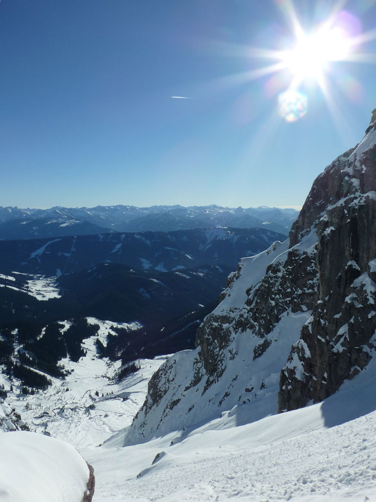 Große Bischofsmütze