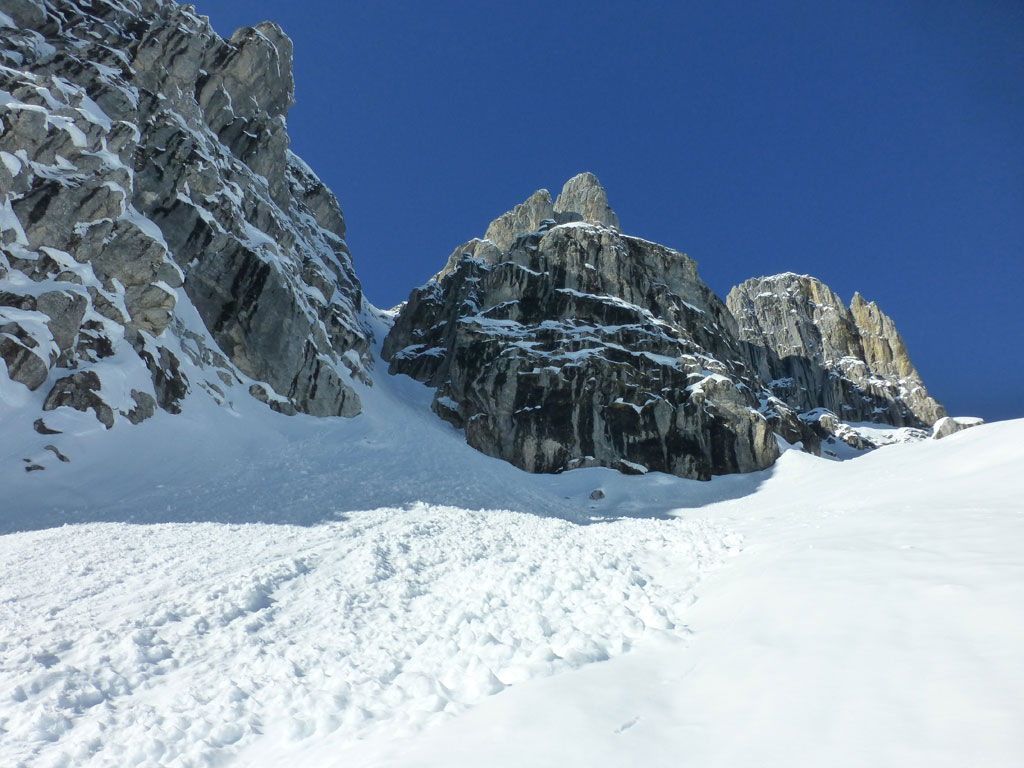 Große Bischofsmütze