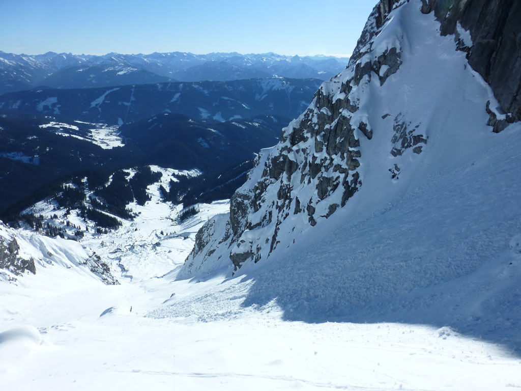 Große Bischofsmütze