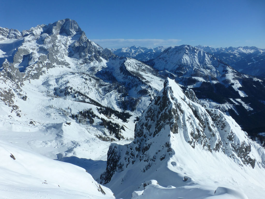 Große Bischofsmütze