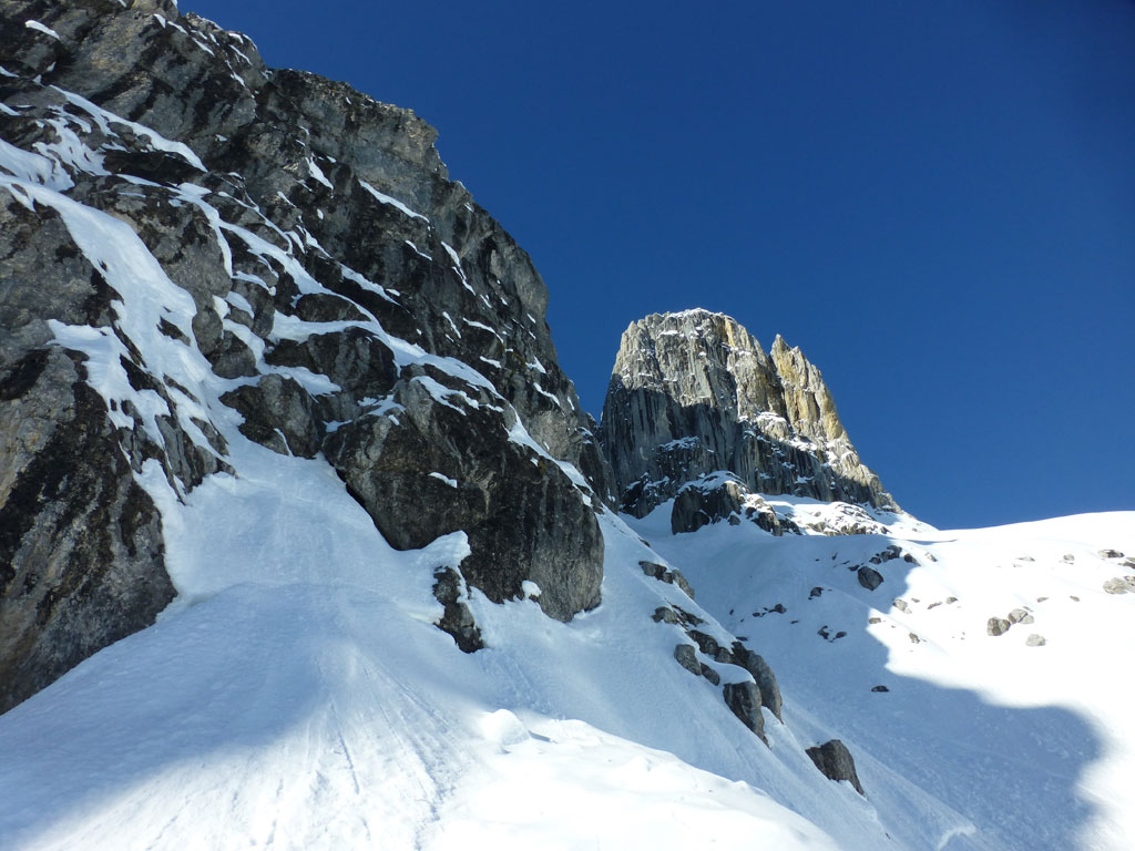 Große Bischofsmütze