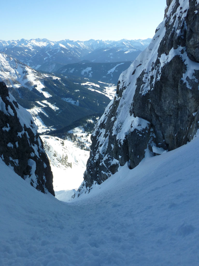 Große Bischofsmütze