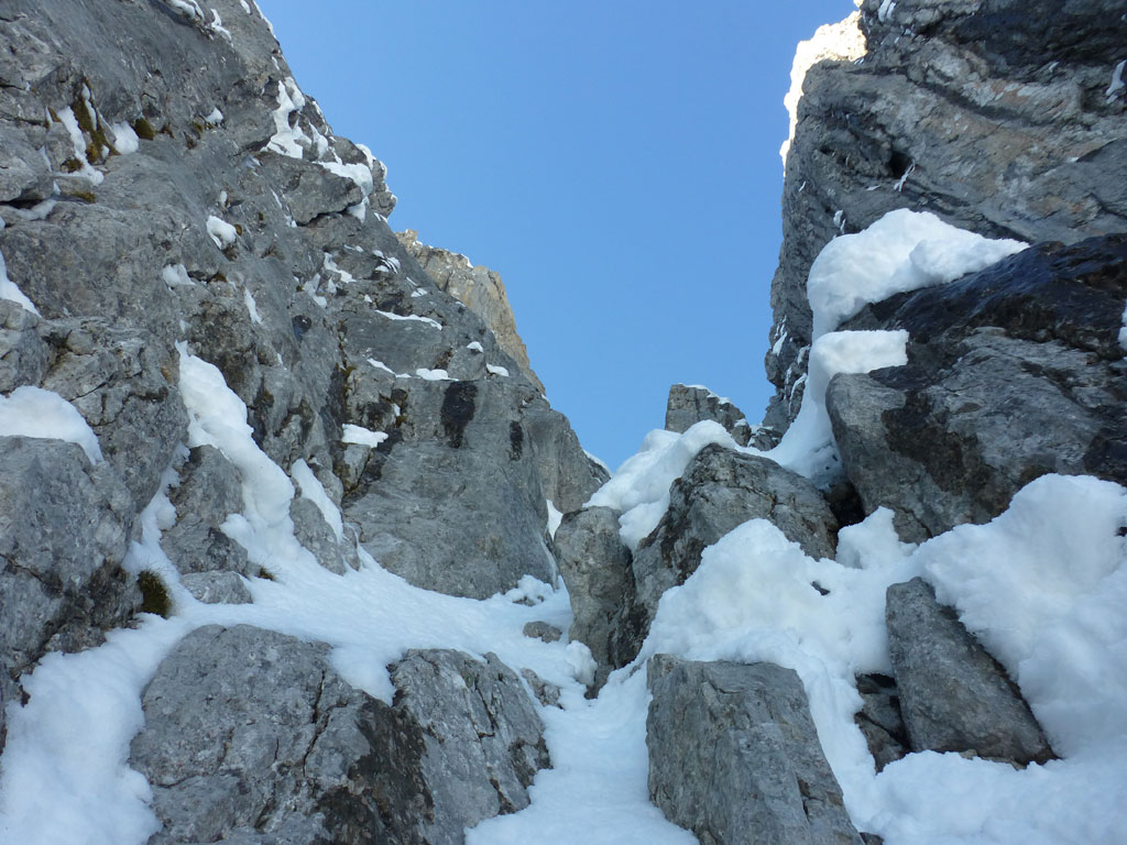 Große Bischofsmütze