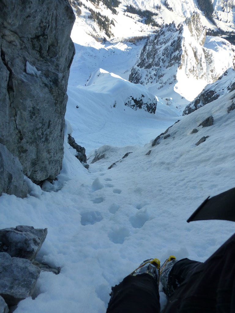 Große Bischofsmütze