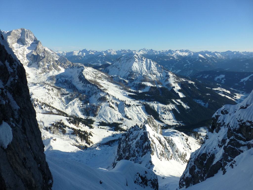 Große Bischofsmütze