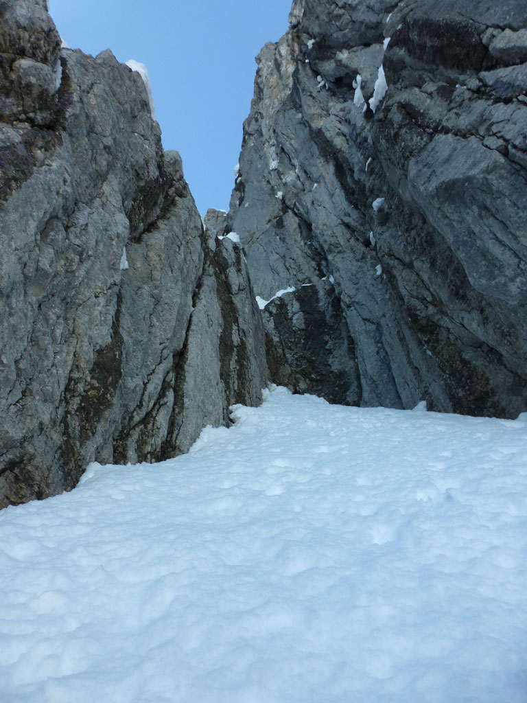 Große Bischofsmütze