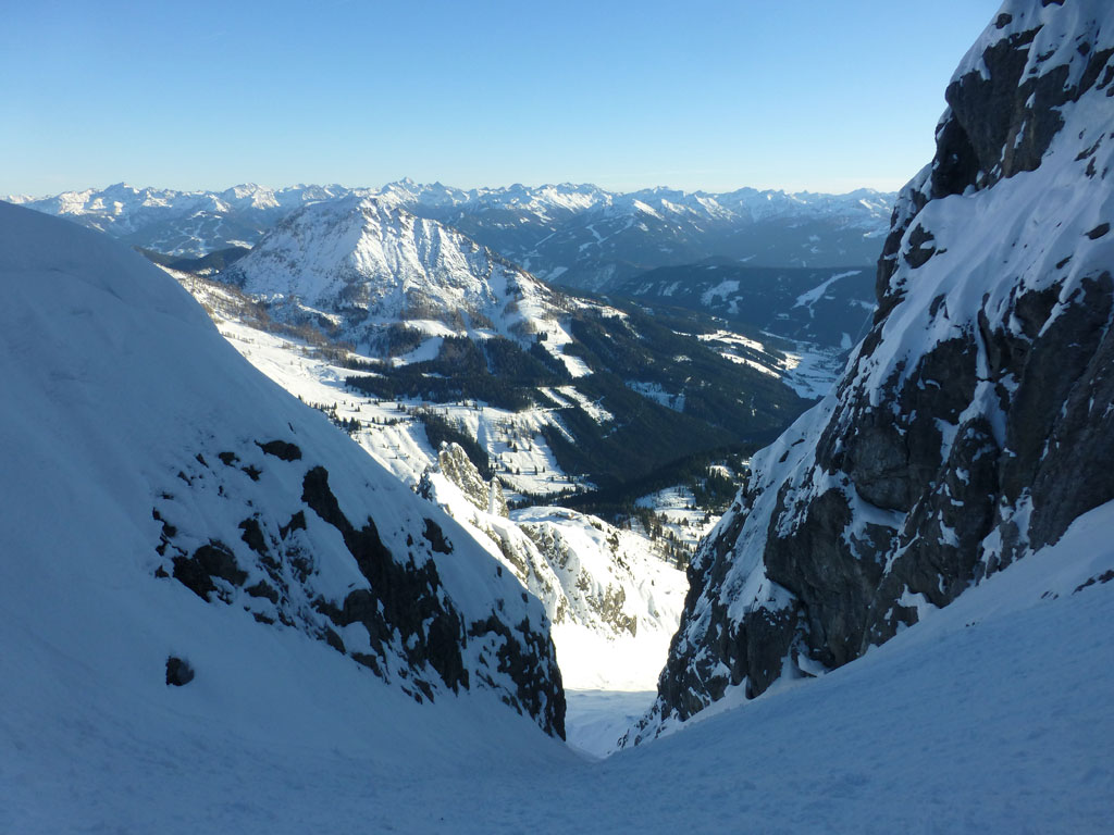 Große Bischofsmütze