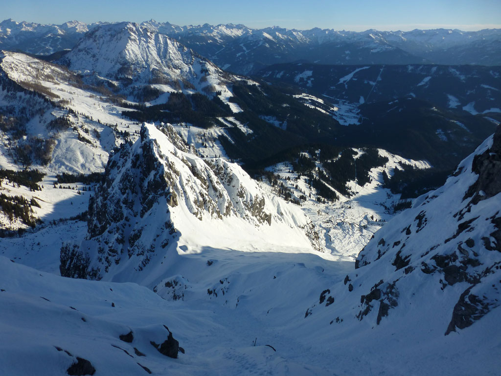 Große Bischofsmütze