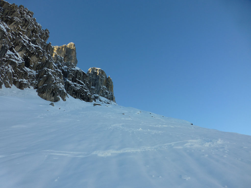 Große Bischofsmütze