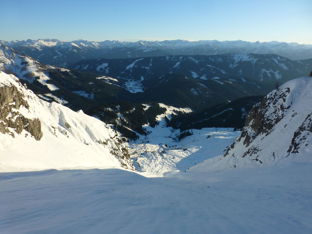 Große Bischofsmütze