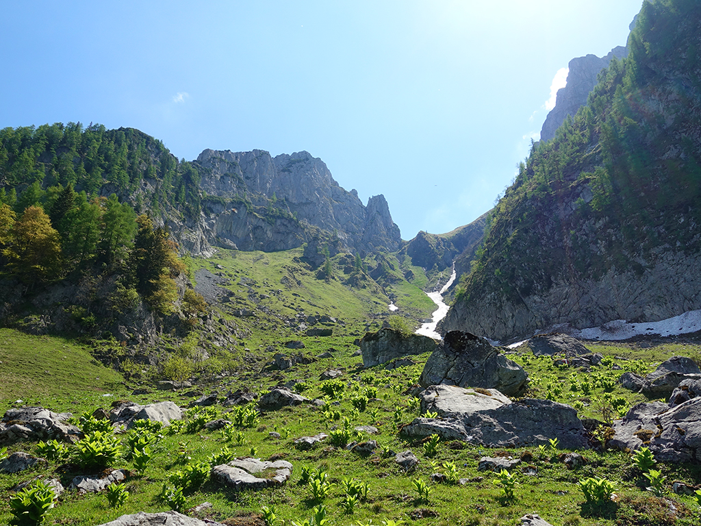 Tagweide – Hochkarfelderköpfe
