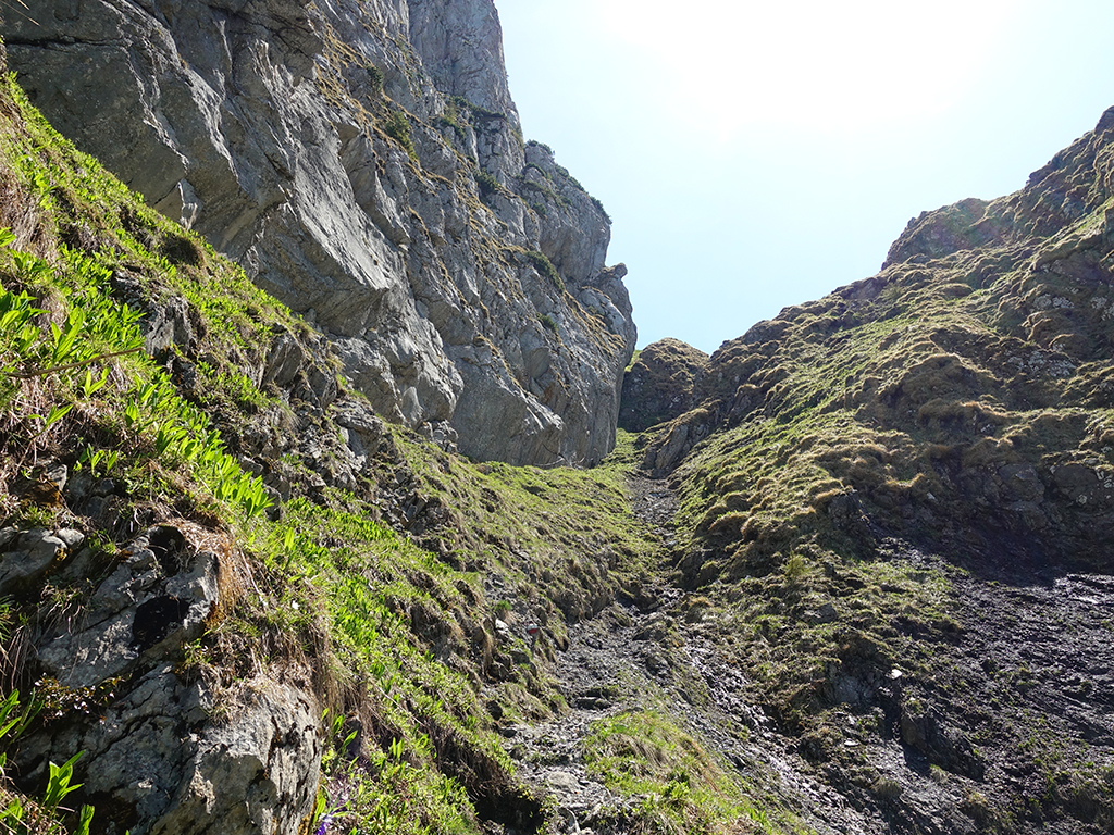 Tagweide – Hochkarfelderköpfe