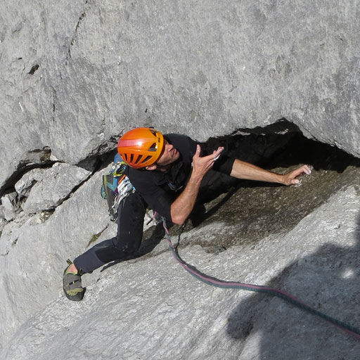 Blue Moon-Kopfkraxen